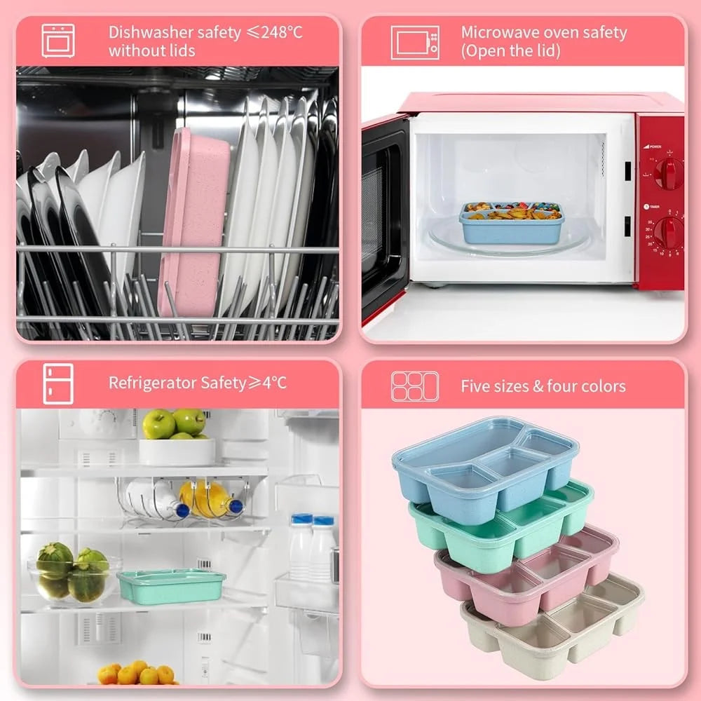 Bento Box 4 Compartment Lunch Box For Adults And Kids