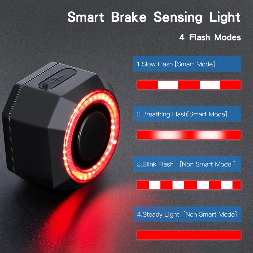 WSDCAM Smart Bike Tail Light Alarm With Remote Control 110dB