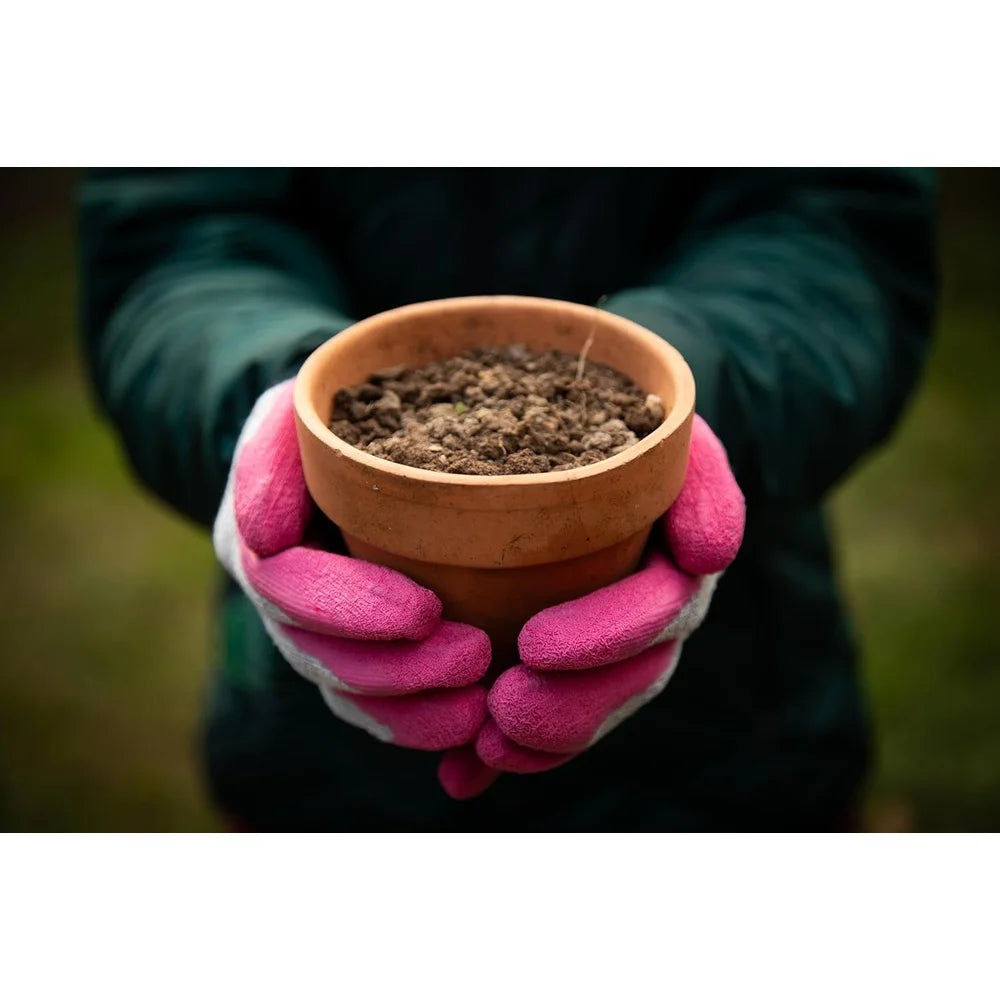 Breathable Gardening Gloves Women Non-Slip Grip 12 Pairs Rubber Coated Comfortable Lightweight Durable Weeding Planting