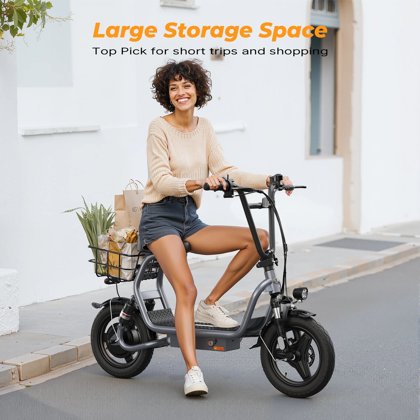 VARUN P5 Adult  Electric Scooter 750W Motor 48V499.2WH Battery City Escooter 14 Inch  Tire Foldable E-Scooter